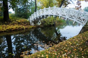 Brücke im Park