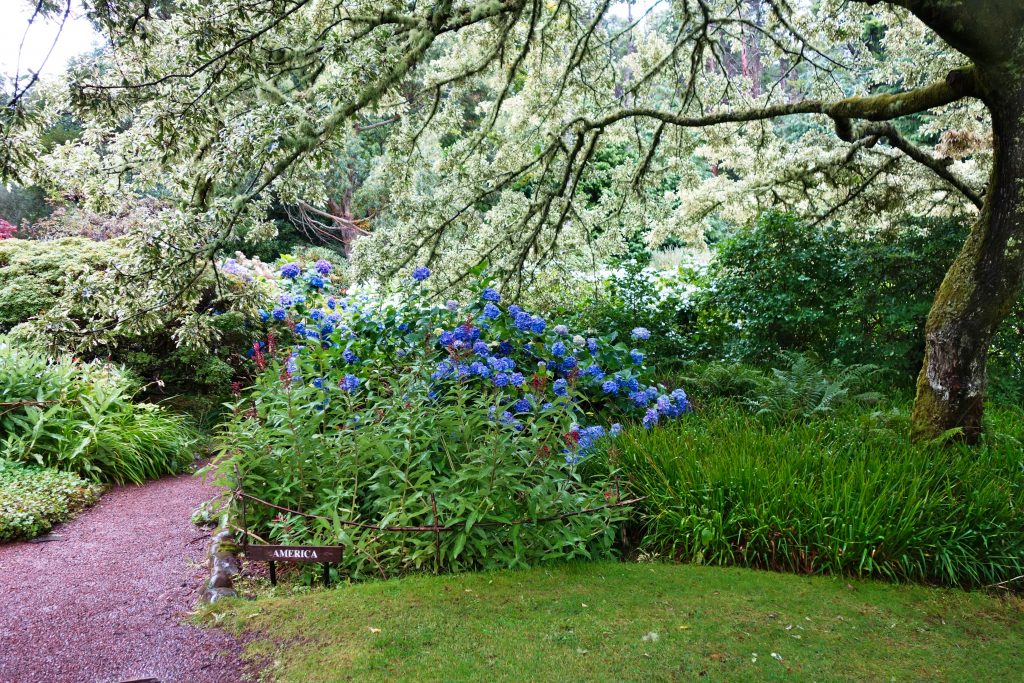 Inverewe Garden