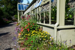 Gewächshaus im Walled Garden